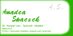 amadea spacsek business card